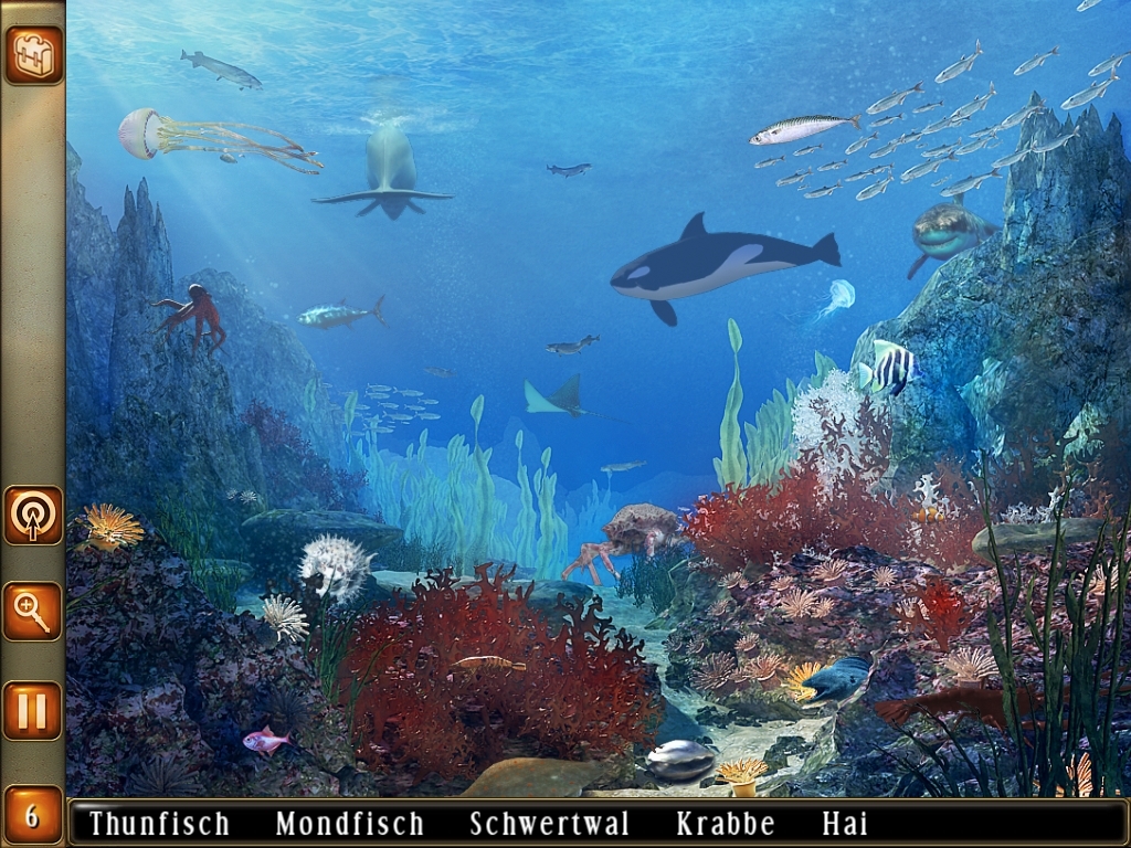 Unter Dem Meer Spiel Unter Dem Meer Spiel