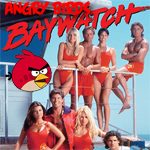 Top-News: Angry Birds Baywatch angekündigt