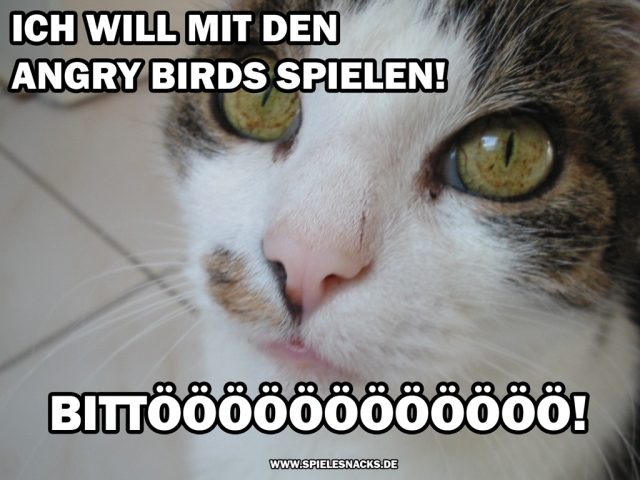 Cat Content Comics - Angry Birds