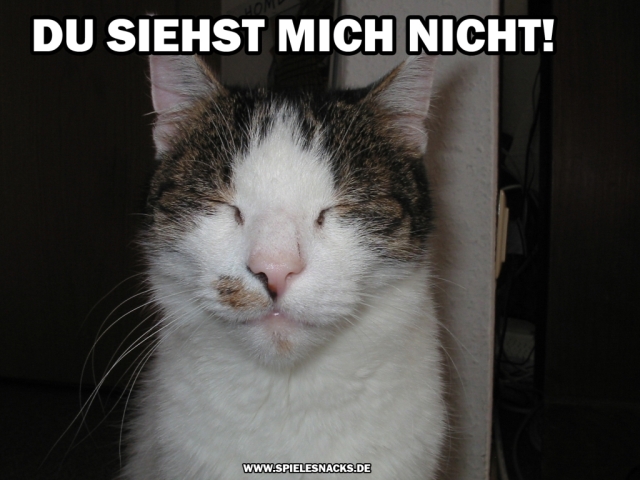 cat comic - du siehst mich nicht!