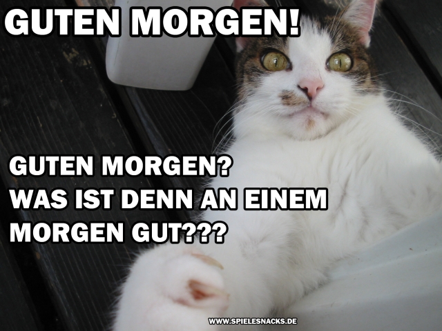 Cat Comic - Guten Morgen