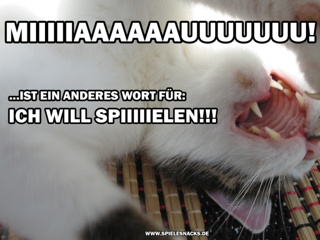 cat comic - ich will spielen