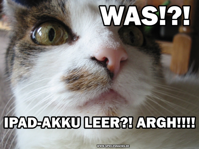 cat comic - ipad akku