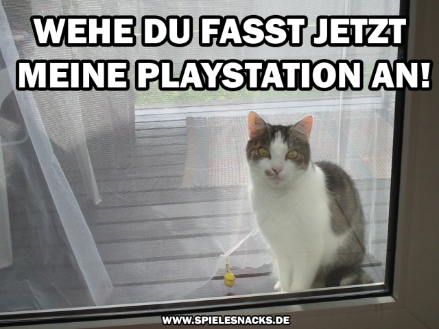 cat comic - playstation