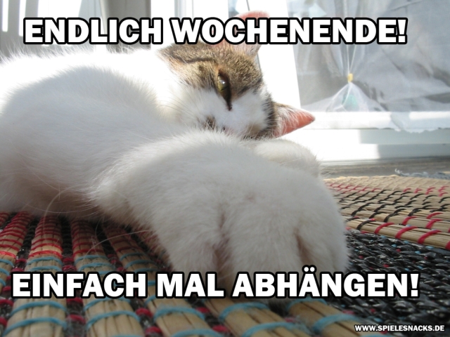 Cat Comic - Wochenende