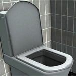 Kurioses Fundstück zum Herunterladen: Totally Accurate Toilet Simulator