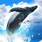 Real Whales Spieletest: Mauer Foto-Trip