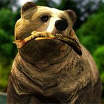 Bear Simulator News: Der „Bär-Simulator“ kommt wirklich!