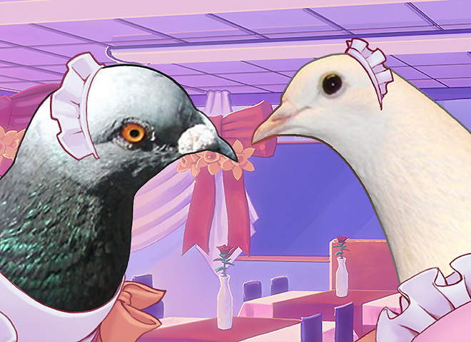 Hatoful boyfriend. Голуби в Hatoful boyfriend. Hatoful boyfriend PS Vita. Визуальная новелла про голубей. Симулятор свиданий с голубями.