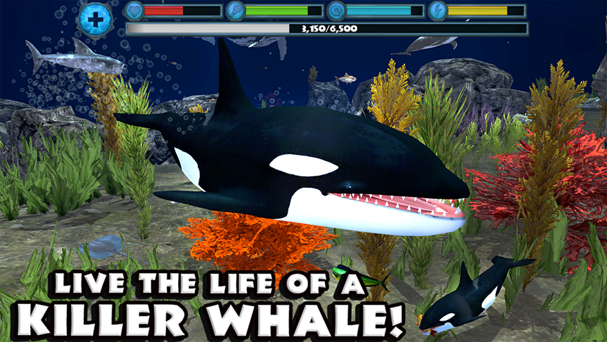 orca-simulator-screenshot