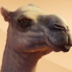 Mit dem Planet Zoo: Arid Animal Pack der Hitze trotzen und neue erstaunliche Arten entdecken